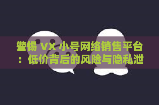 警惕 VX 小号网络销售平台：低价背后的风险与隐私泄露危机