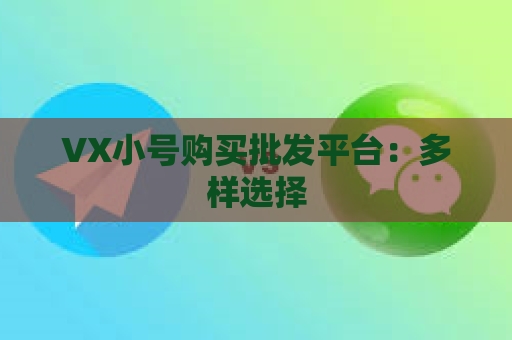 VX小号购买批发平台：多样选择