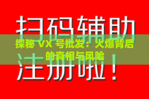 探秘 VX 号批发：火爆背后的真相与风险